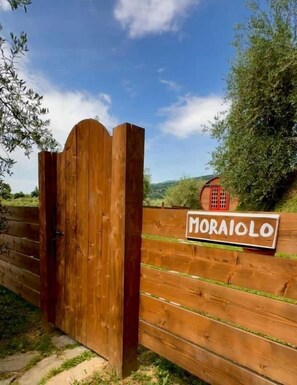 Studio Deluxe, vue vignoble | Détail de l’extérieur