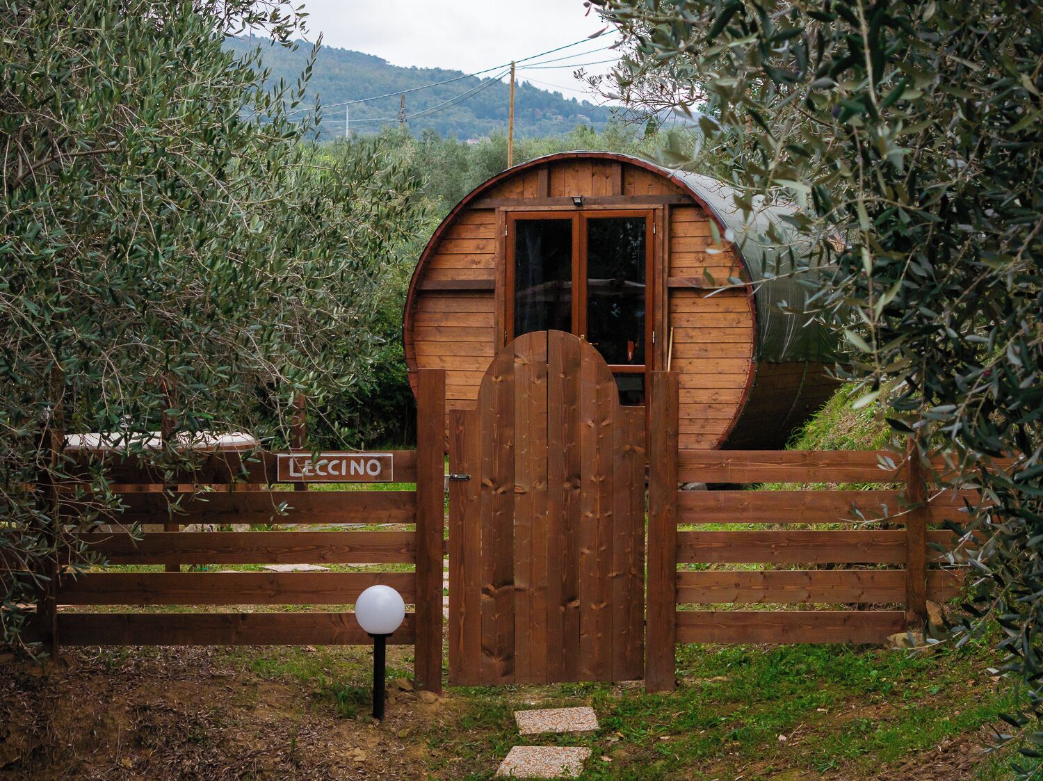 A wooden structure with a curved roof, surrounded by olive trees and a wooden fence.