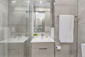 Chuveiro, secador de cabelo, toalhas de banho, sabonete