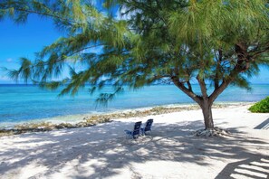 Eine Strandansicht mit zwei blauen Liegestühlen unter einem Baum, blauem Himmel und dem Meer im Hintergrund.