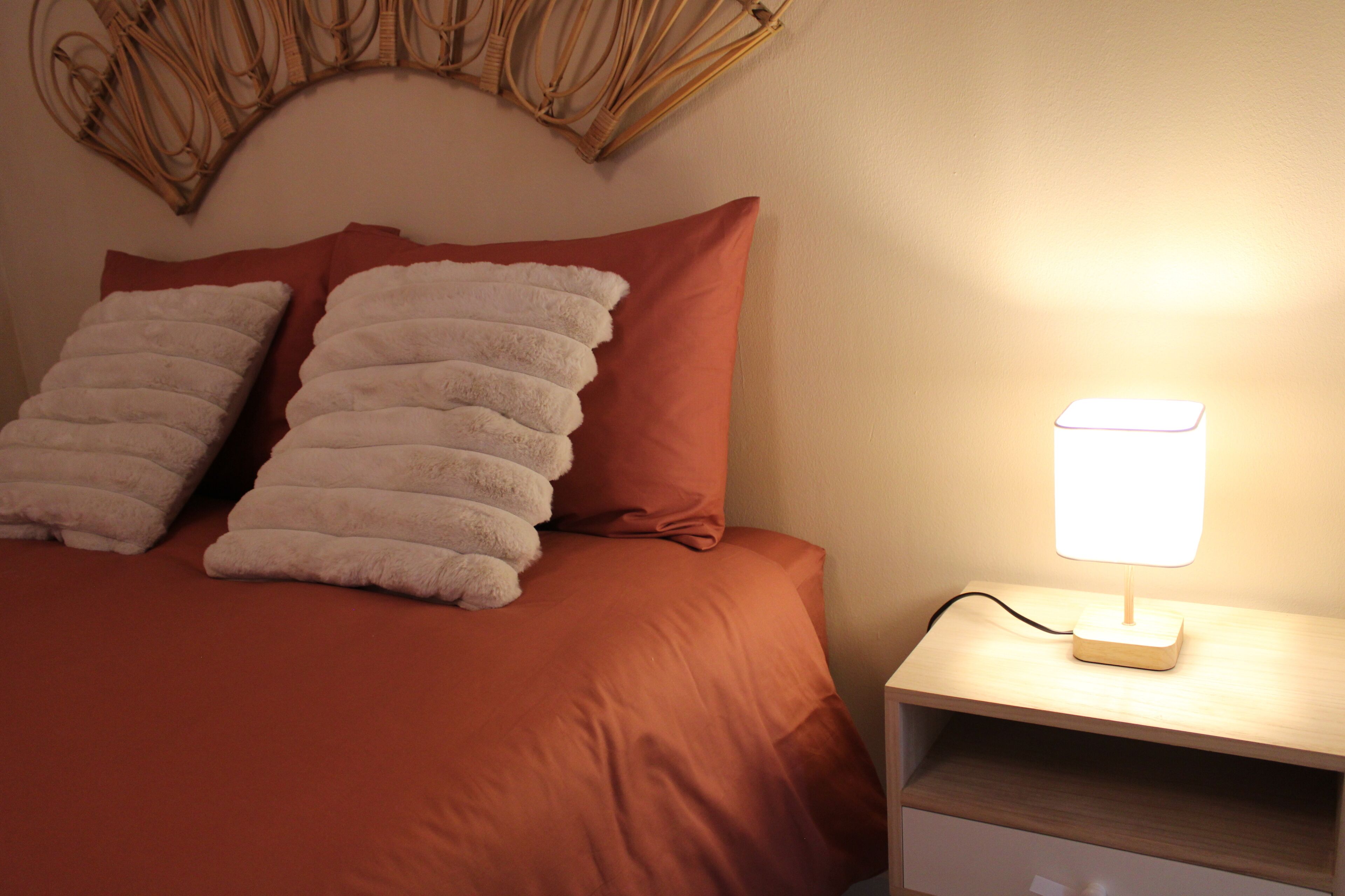 A neatly made bed with two fluffy pillows and a red blanket, a bedside table with a lamp, and a wall art piece above the bed.
