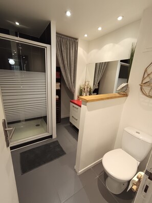 Shower, hair dryer, towels, toilet paper - Marie's nest (Châteauroux-les-Alpes)
