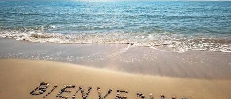 Beach nearby, sun loungers
