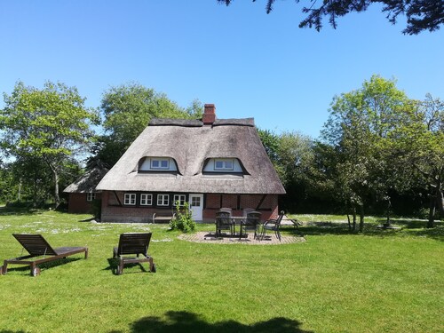 Beautiful old thatched cottage for families with children and best friends near the Baltic Sea
