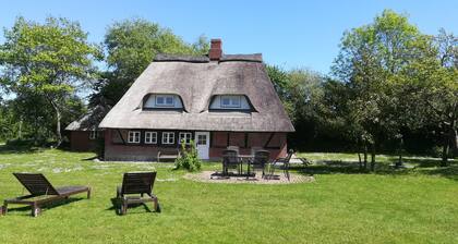 Beautiful old thatched cottage for families with children and best friends near the Baltic Sea