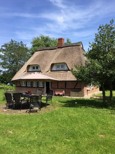 Beautiful old thatched cottage for families with children and best friends near the Baltic Sea