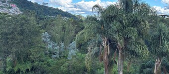 Araucaria House 2 Campos do Jordão