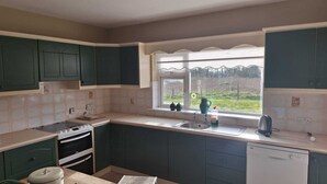 Una cocina con gabinetes verdes, una ventana con vistas al verdor, un lavamanos y una estufa.