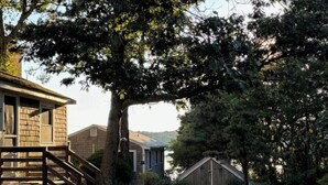 A rustic cabin with a wooden staircase leading to a porch, surrounded by trees and a dirt path. - Sweet cottage nestled in scenic Drummer's Cove (CS0052) (Wellfleet)