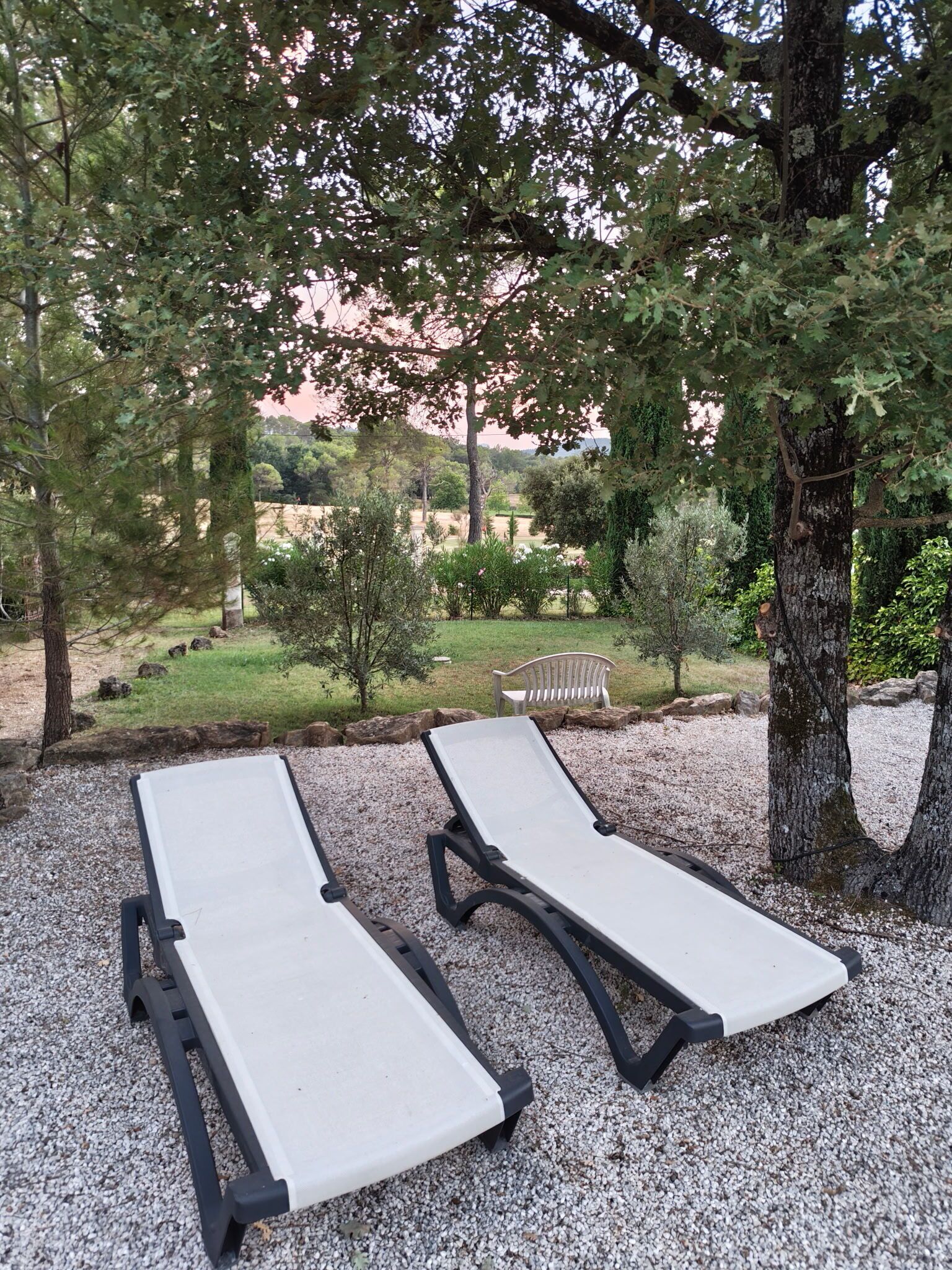Två solstolar på ett grusunderlag, omgivna av träd och en bänk i en parkliknande miljö.