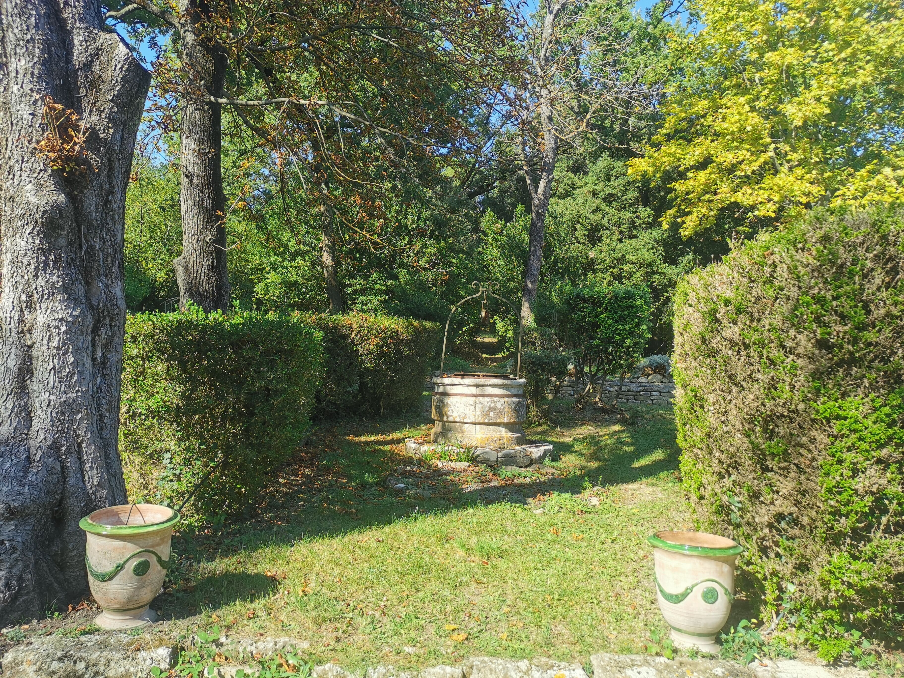 A garden with a stone fountain, surrounded by trees and hedges.