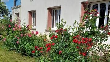 DĂ©tail de lâextĂ©rieur