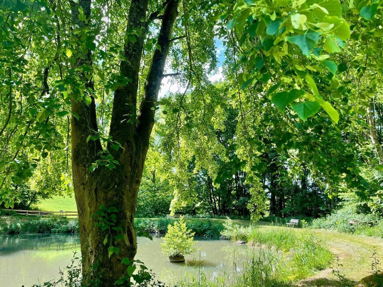 Parco della struttura