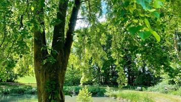 Parco della struttura