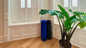 A room with white paneled walls, a large window with blinds, a potted plant, and two rolled-up mats on the floor. - Beautiful Spacious 3BR/3BA Bed-Stuy Brownstone Duplex, King Bed, Heated Floors (Brooklyn)