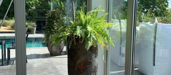 The Sweet Escape - Premium Villa With Pool