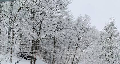 The Sweet Escape - Premium Villa With Pool