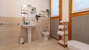 Shower, hair dryer, bidet, towels