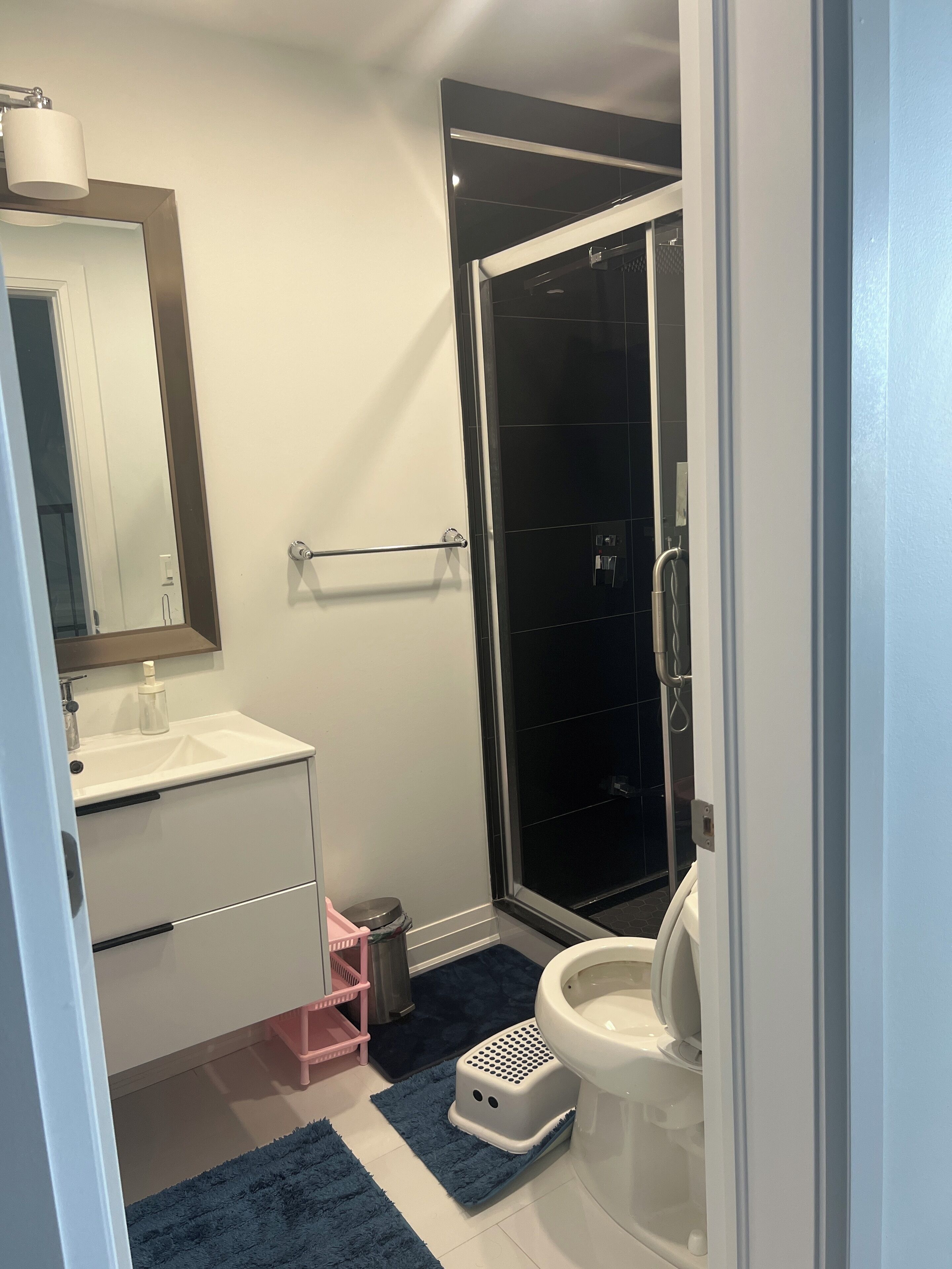 Hair dryer, towels, soap, toilet paper