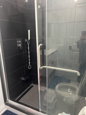 Hair dryer, towels, soap, toilet paper - One bedroom and one washroom (Oakville)
