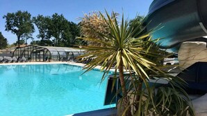 Ein Swimmingpool mit Liegestühlen und einem Gewächshaus im Hintergrund.
