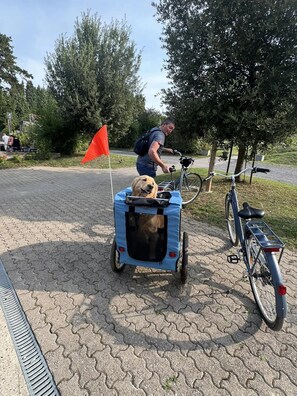 A person pushing a stroller with a dog, a bicycle, and a red flag in a paved outdoor area. - ZEcamping 3 étoiles familial piscine chauffée sauna locatif TV BBQ (Grand-Laviers)