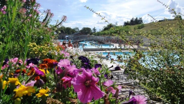 Un área de piscina con un puente, rodeada de flores y follaje coloridos.