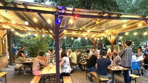 Un espace extérieur aménagé pour les repas, avec des tables et des bancs en bois, le tout abrité par une pergola illuminée de guirlandes lumineuses.