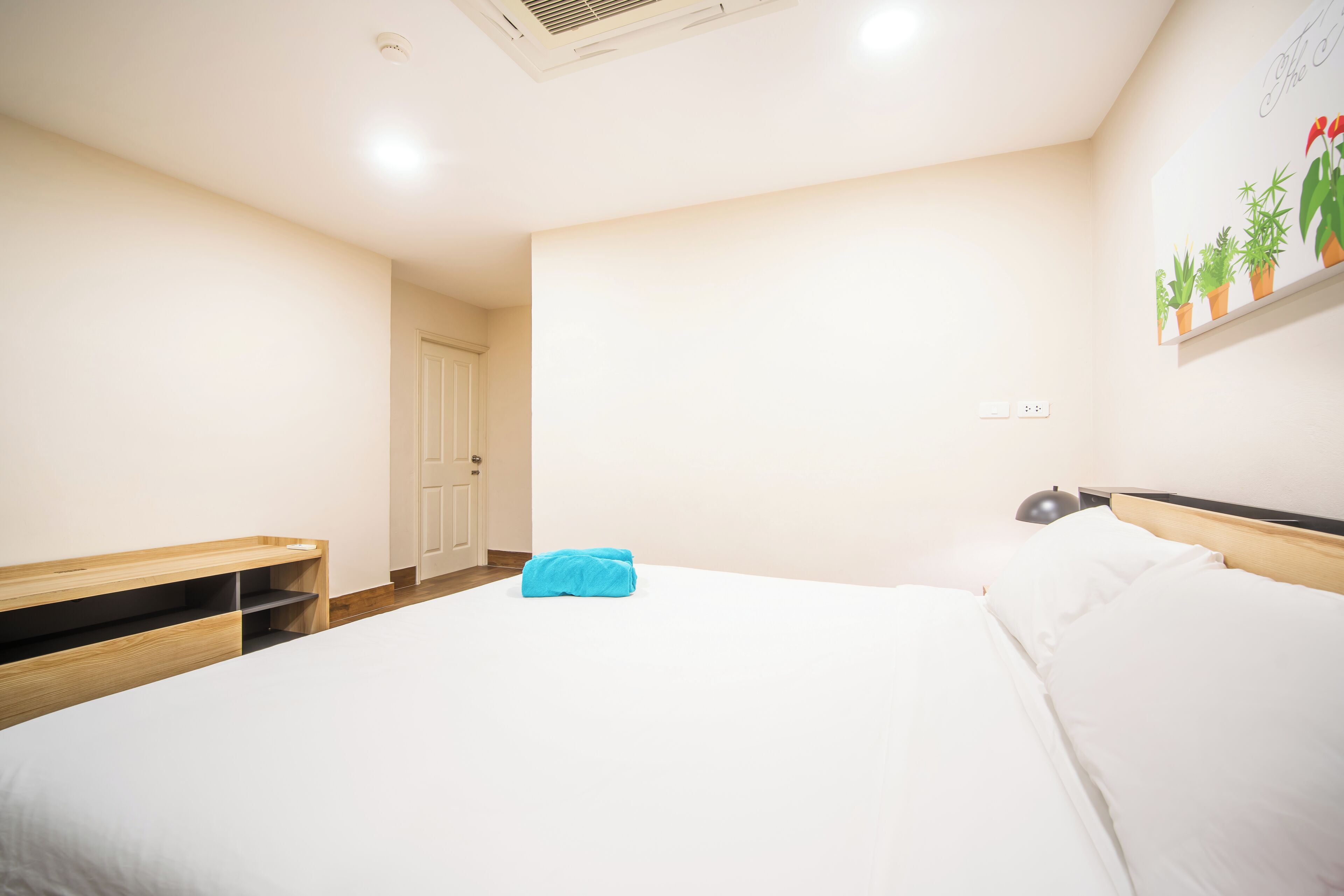 A bedroom with a bed, a bedside table, a wall-mounted shelf with plants, and a door.