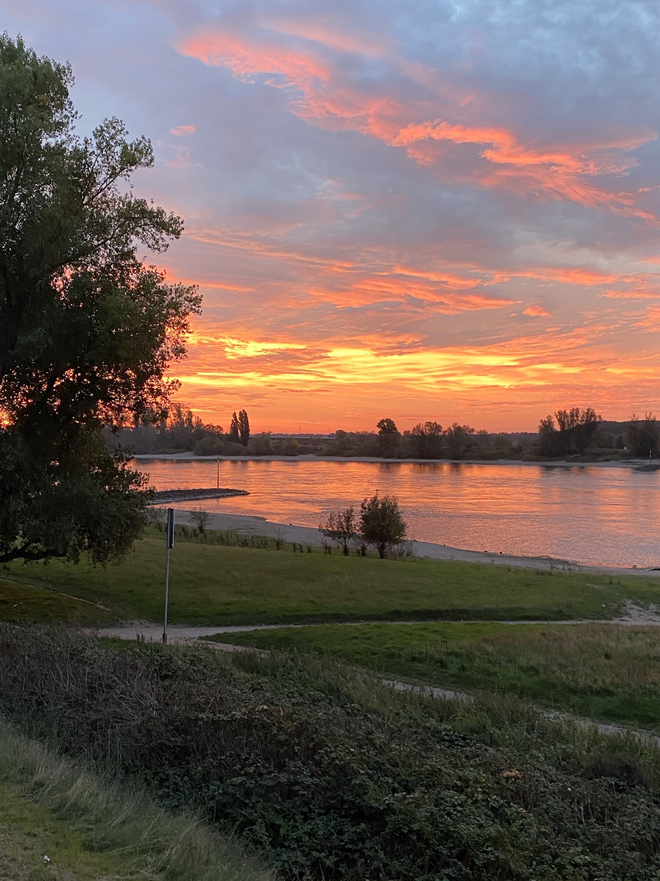 A sunset over a lake with trees and a grassy area in the foreground.