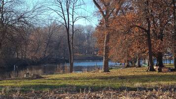 A park with a lake, trees, and a grassy area.