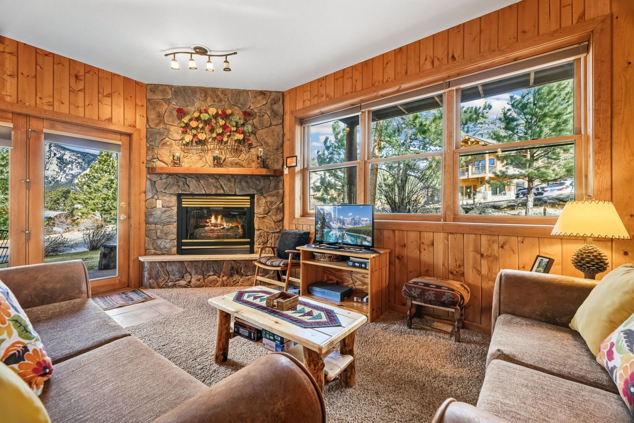 TV, fireplace