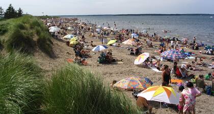 Daydream â Beachfront Cottage by Parlee Beach