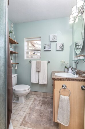 Shower, hair dryer, towels, soap