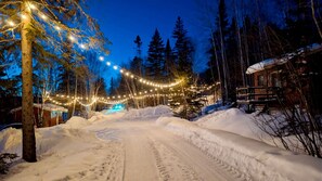 Property grounds - Maisonnette au cœur de la nature – Pohénégamook (Pohénégamook)