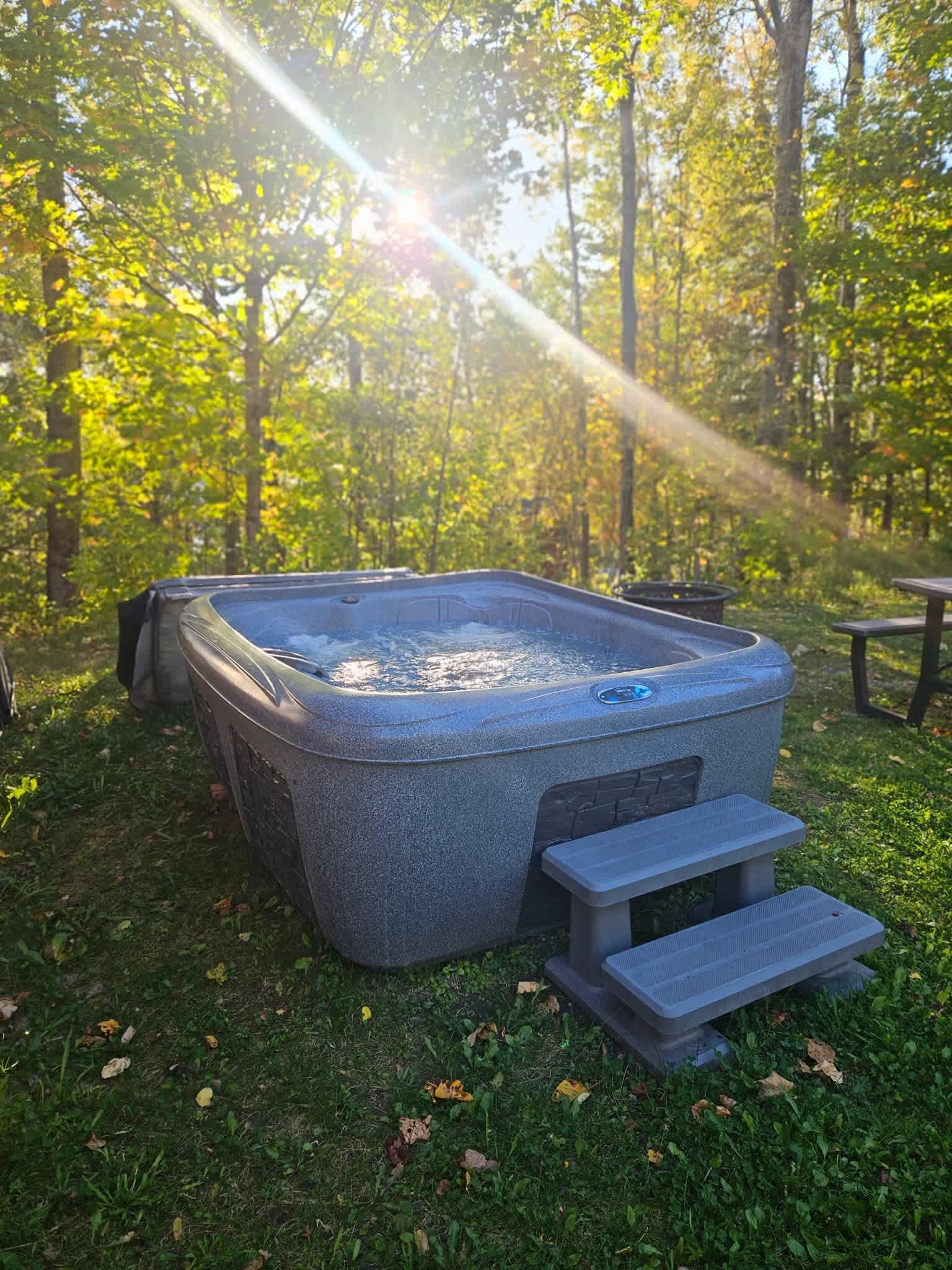 Un jacuzzi en un área boscosa, con escalones que llevan a él.