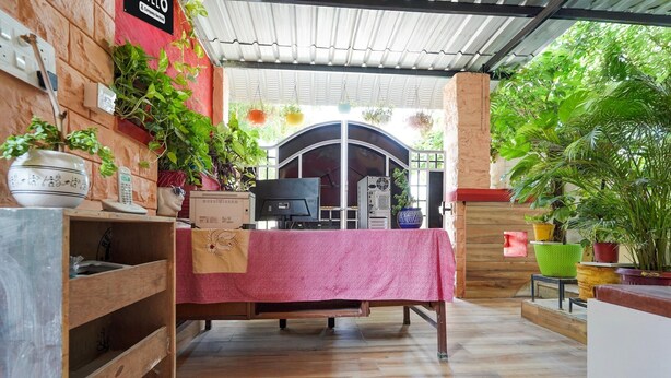 A room with a wooden floor, a table with a pink tablecloth, and various potted plants. - Hotel O Jodhpur Cantt Railway Junction (Jodhpur)