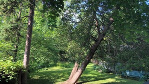 Een park met een bankje, bomen en een gazon.