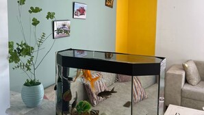 Una habitación con un acuario, una planta en maceta y un sofá.