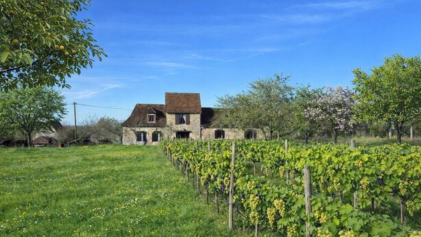 A stone house with a vineyard in the foreground. - Charming stone house in Périgord • Peaceful • Garden • 8 guests (Coulaures)