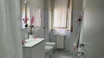 Shower, hair dryer, bidet, towels