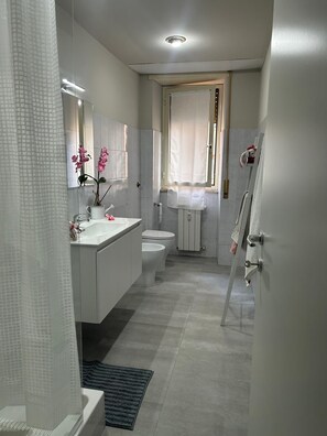 Shower, hair dryer, bidet, towels