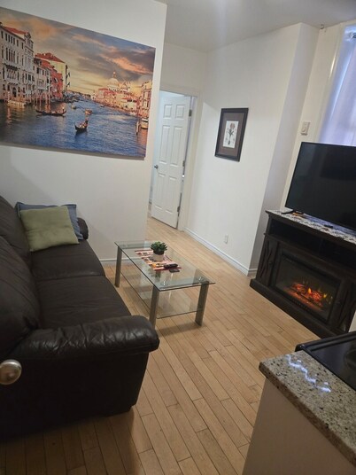 Totally Private 1-bedroom Apt Downtown Ottawa 284D