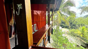 Un banc en bois donnant sur un jardin luxuriant, avec des palmiers, et offrant une vue sur la verdure environnante.