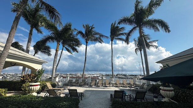 A marina with rows of lounge chairs and tables, palm trees, and a clear sky. - Water View with Balcony- newly renovated Contemporary style (Lantana)