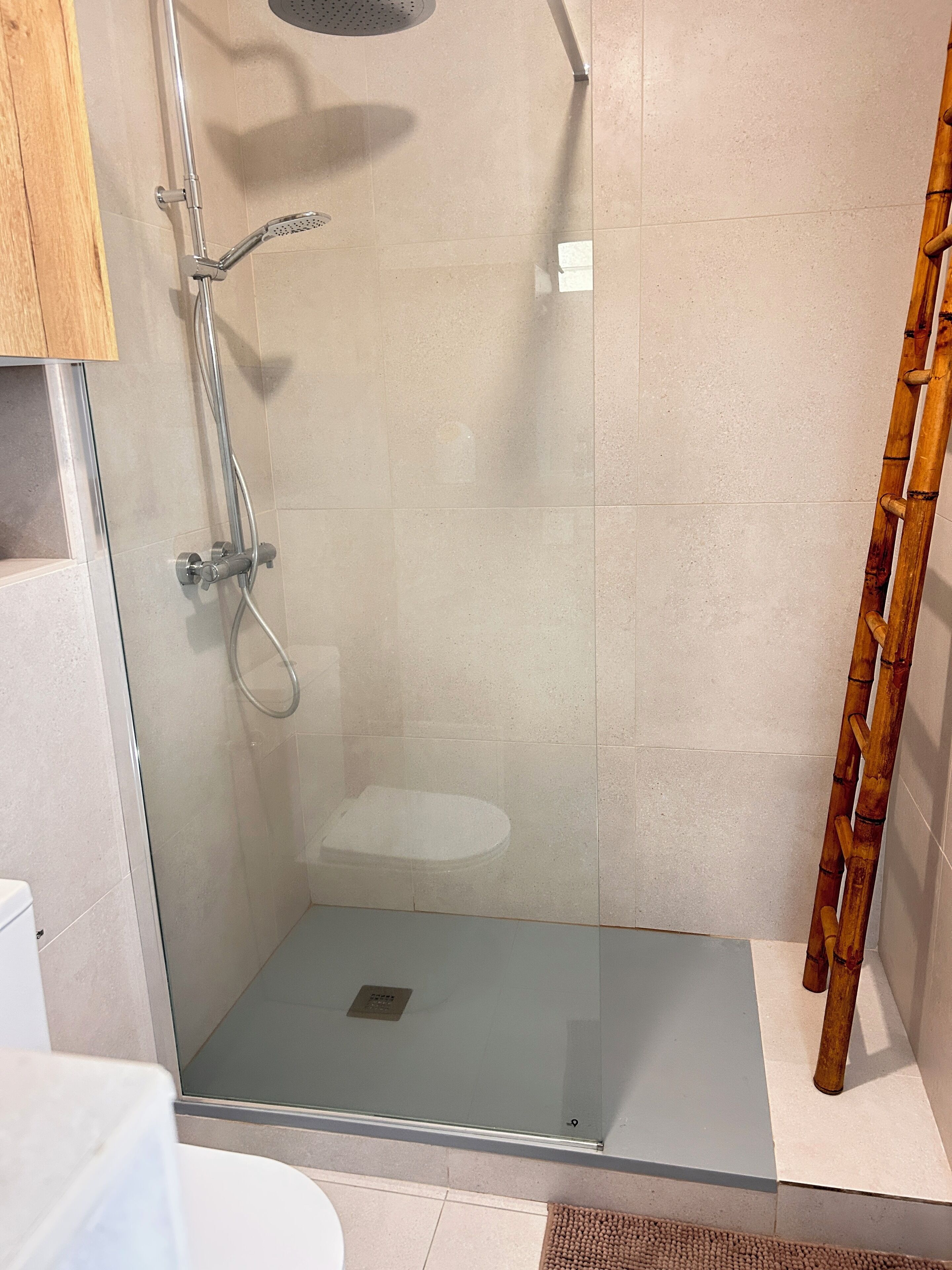 A glass-enclosed shower with a handheld showerhead, a glass door, and a bamboo ladder.