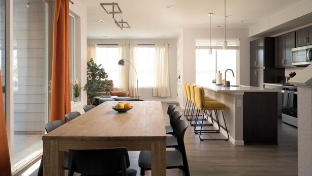 Une cuisine moderne dotée d’un îlot central, un coin repas avec une table en bois et un espace de vie comprenant un canapé et une plante.