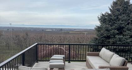 Vineyard Vibes in the Yakima Valley