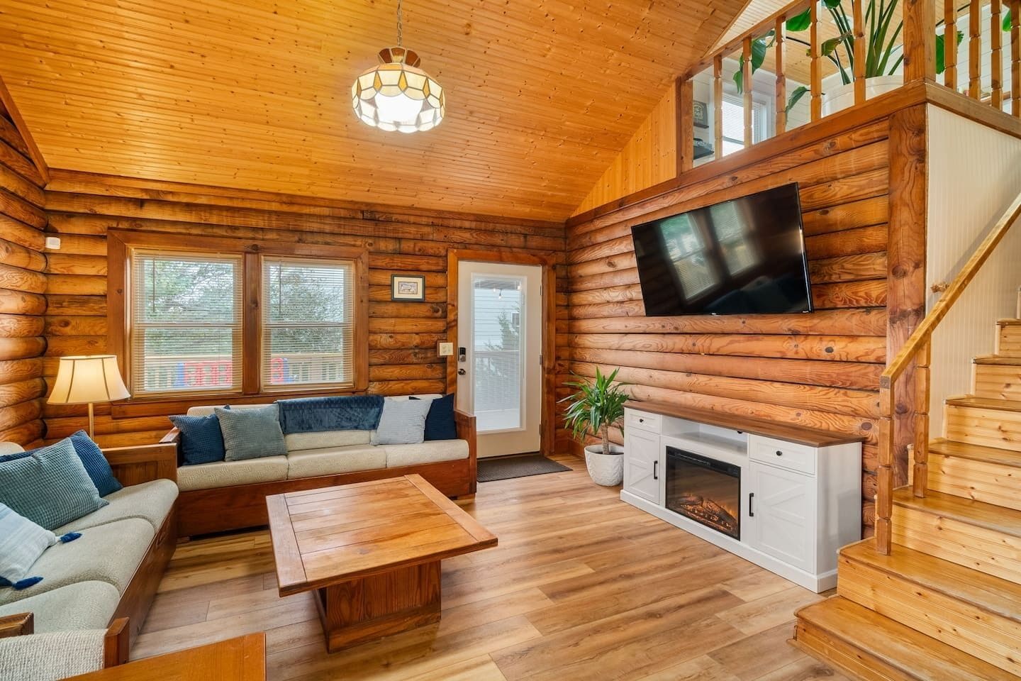 TV, fireplace, video games, books