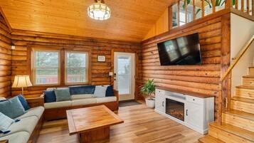 TV, fireplace, video games, books